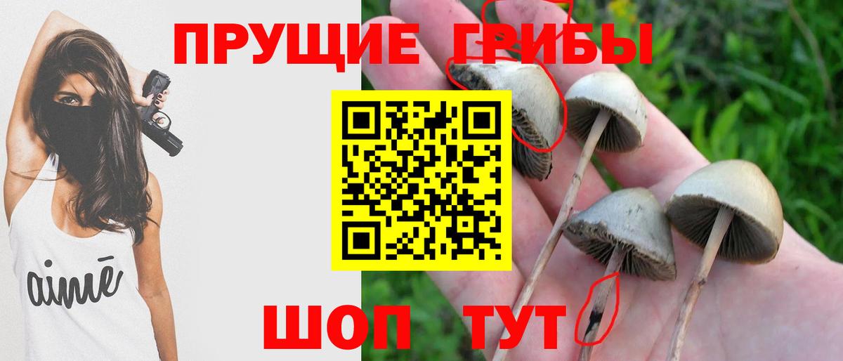 Галлюциногенные грибы Psilocybe  Вход с VPN  Галлюциногенные грибы прущие грибы  Борзя 